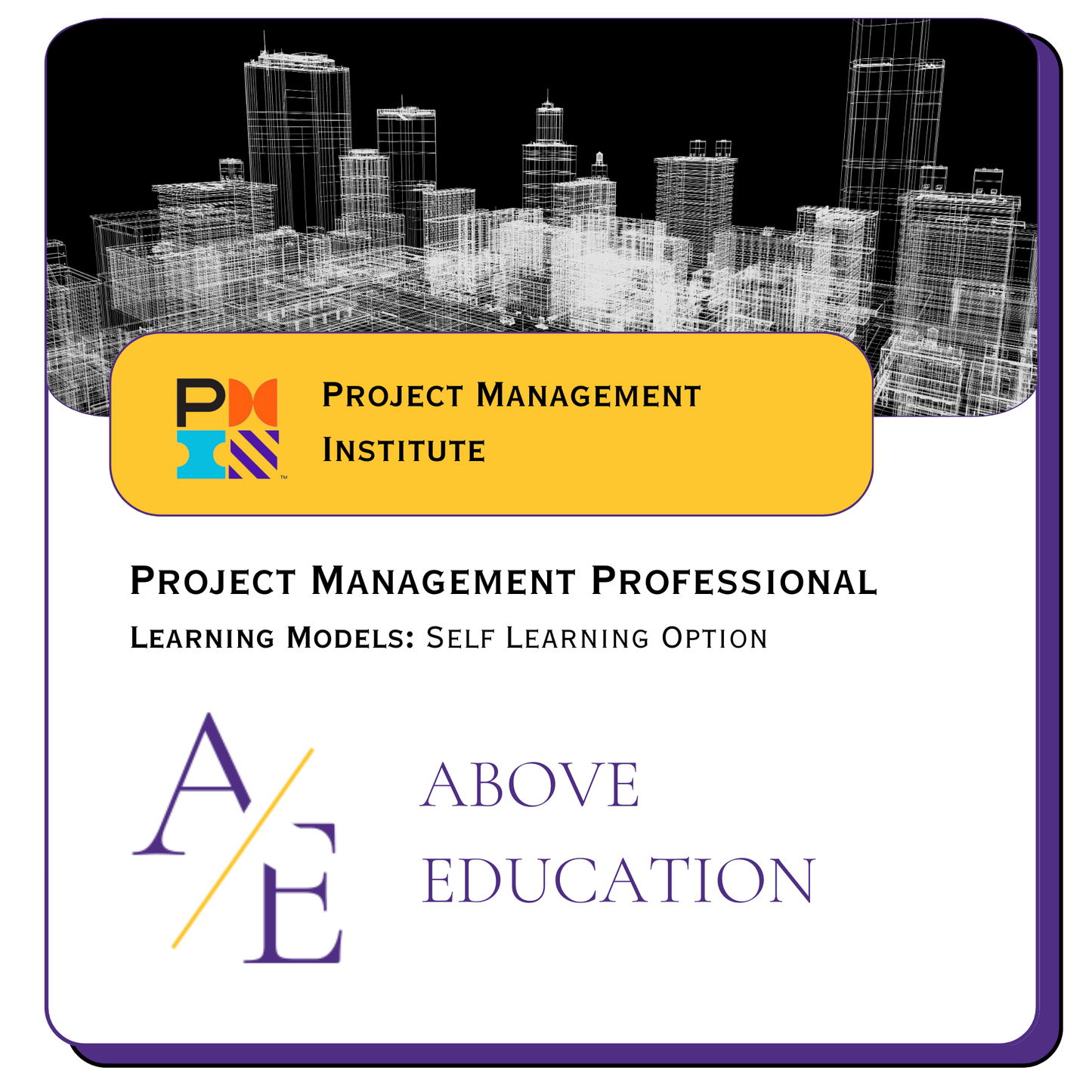 Project Management Professional (PMP)