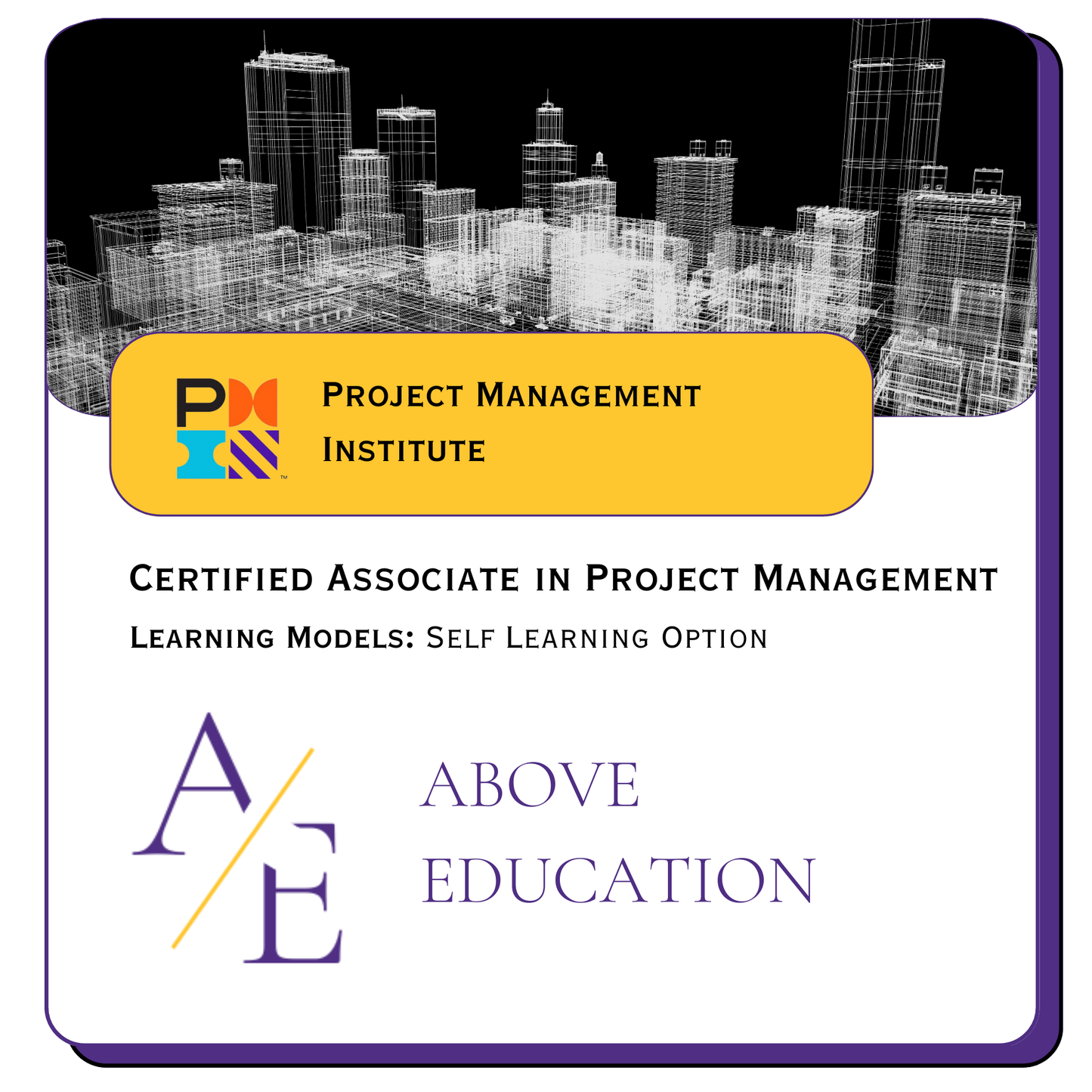 Certified Associate in Project Management (CAPM)