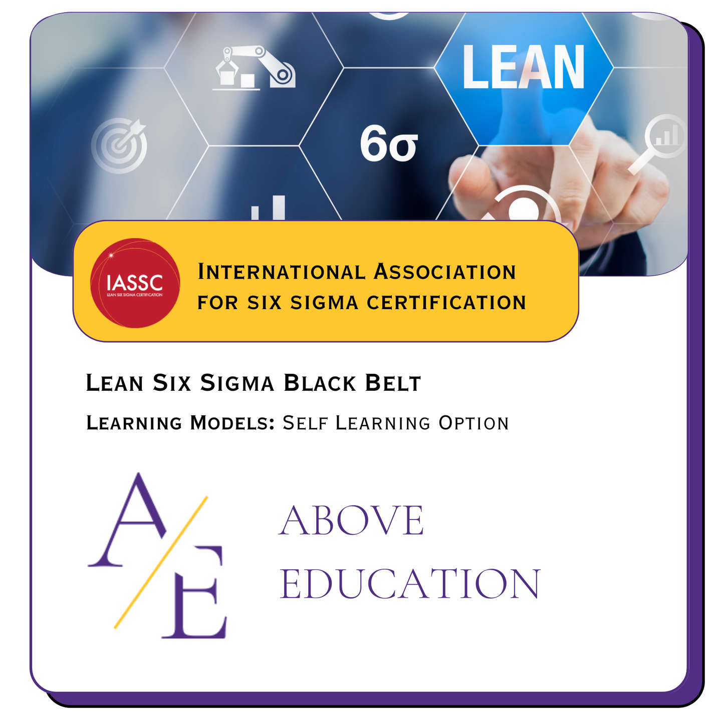 Lean Six Sigma Black Belt